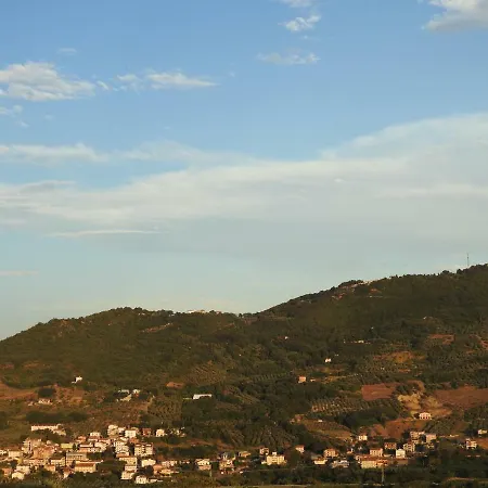 Ulivi * Altino (Abruzzo)