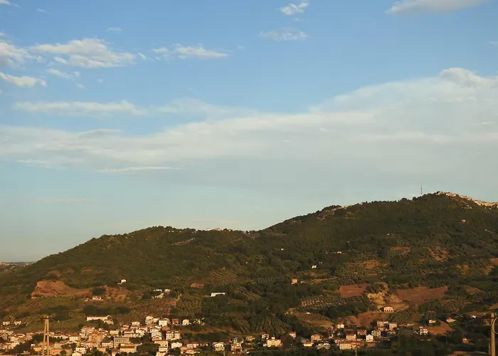 Ulivi * Altino (Abruzzo)